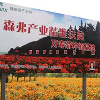 森弗種植基地
