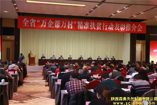 陜西森弗榮獲全省“萬企幫萬村”精準(zhǔn)扶貧行動(dòng)先進(jìn)民營企業(yè)