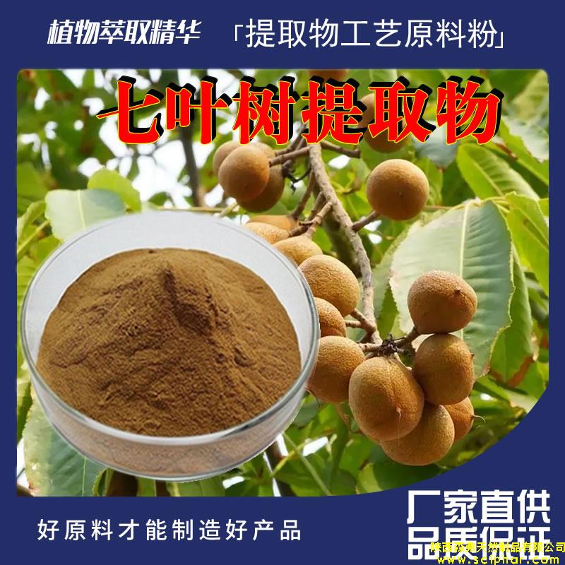 七葉樹提取物的成分、功效