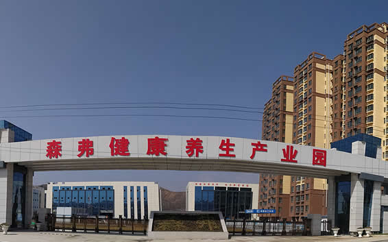 陜西森弗集團(tuán)董事長(zhǎng)金新康緊抓精準(zhǔn)扶貧
